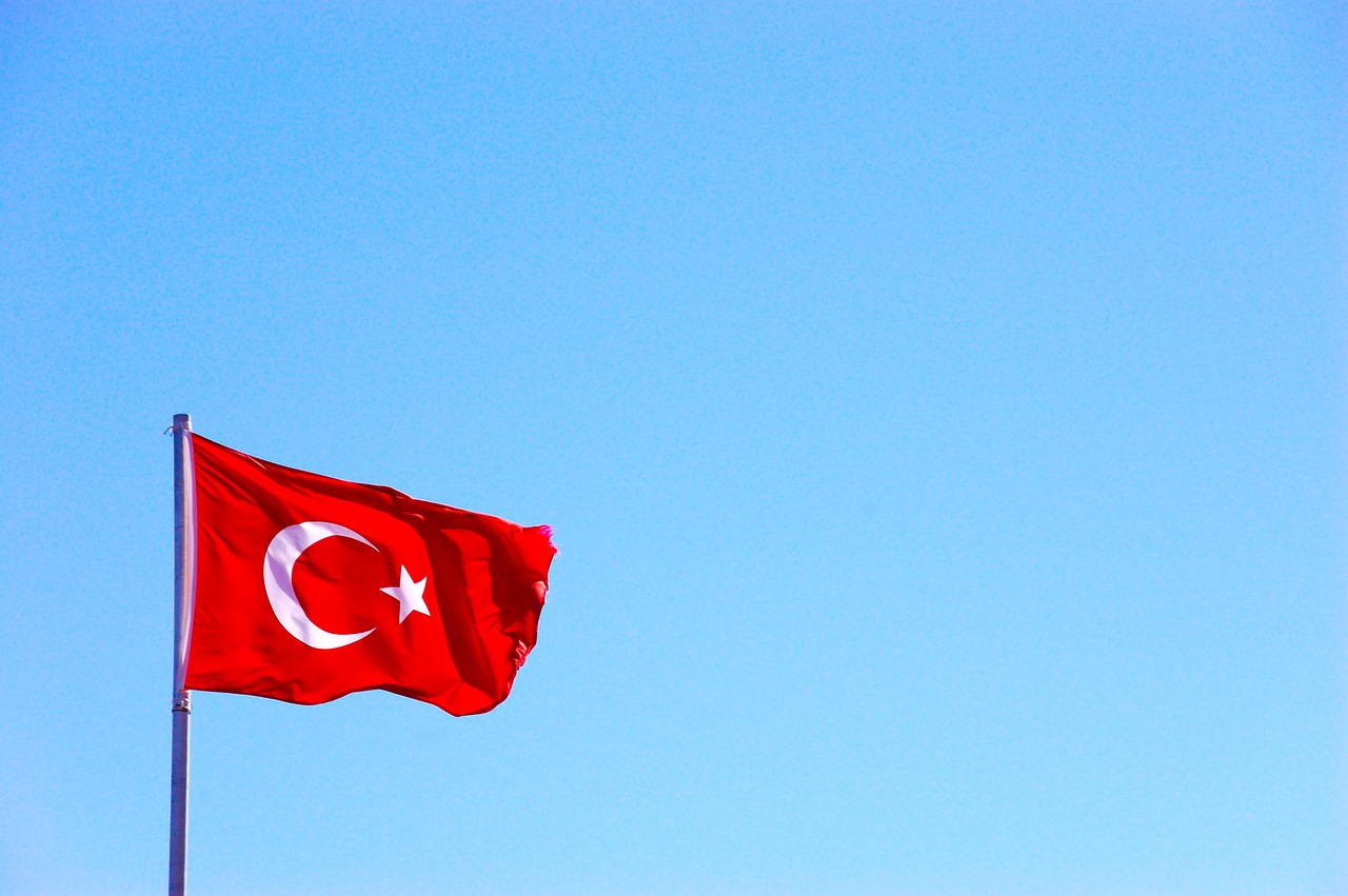 test canlı